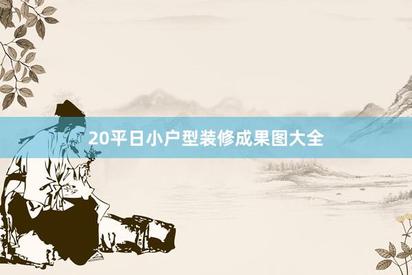 20平日小户型装修成果图大全