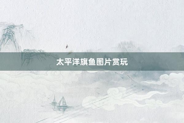 太平洋旗鱼图片赏玩