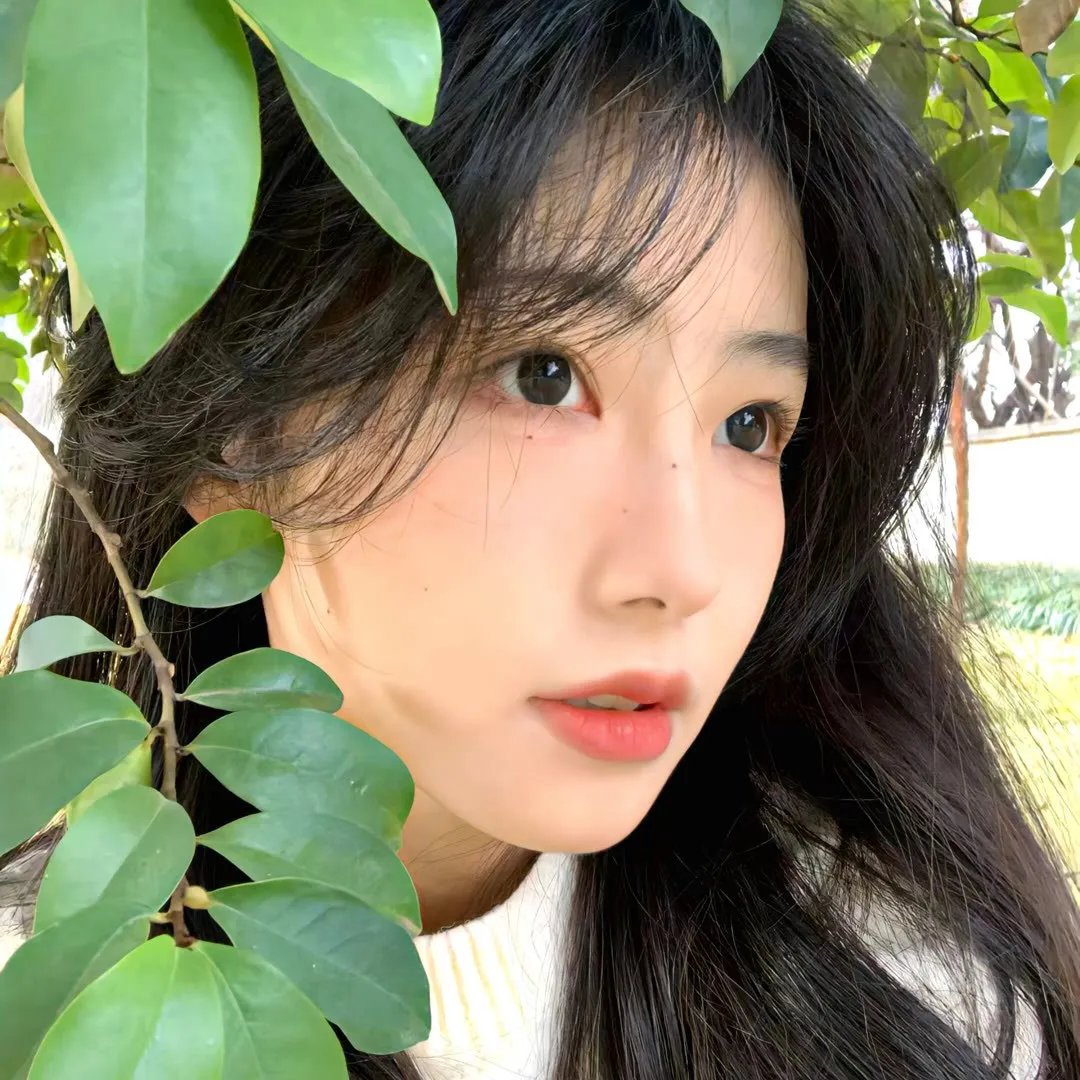 在巨人中间
